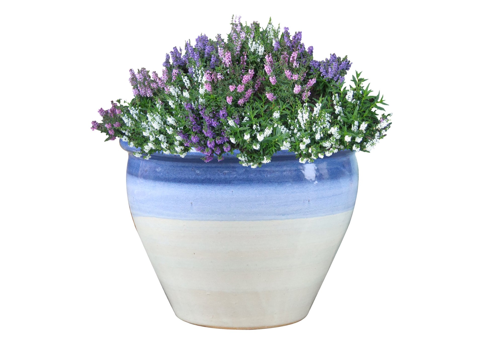 slide 3 of 4, allen + roth Round 7.7-in W x 7.7-in L Blue Glazed ceramic Indoor/Outdoor Planter, 1 ct