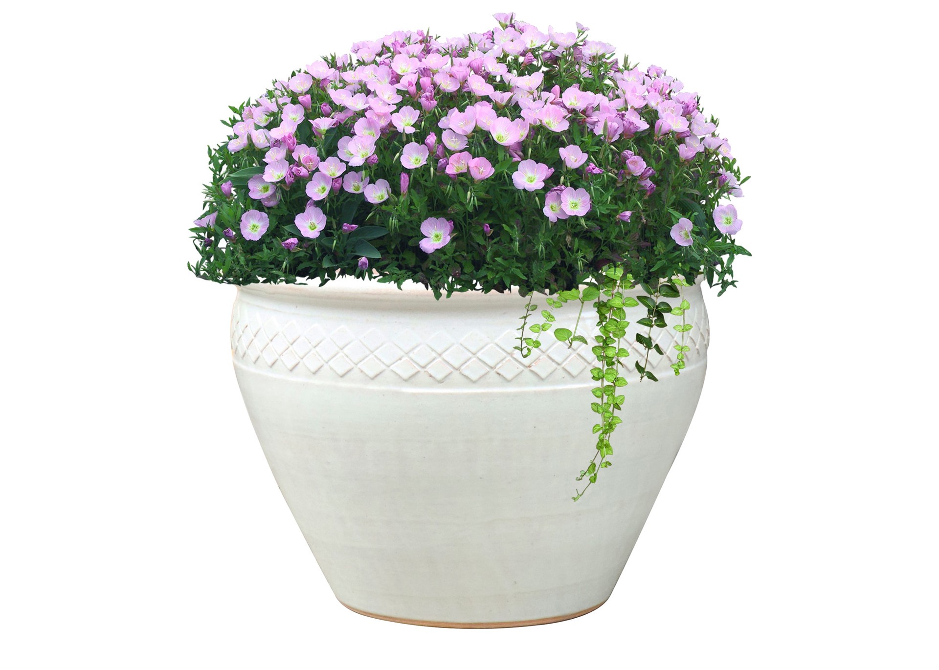 slide 3 of 4, allen + roth Round 9.6-in W x 9.6-in L White Glazed ceramic Indoor/Outdoor Planter, 1 ct