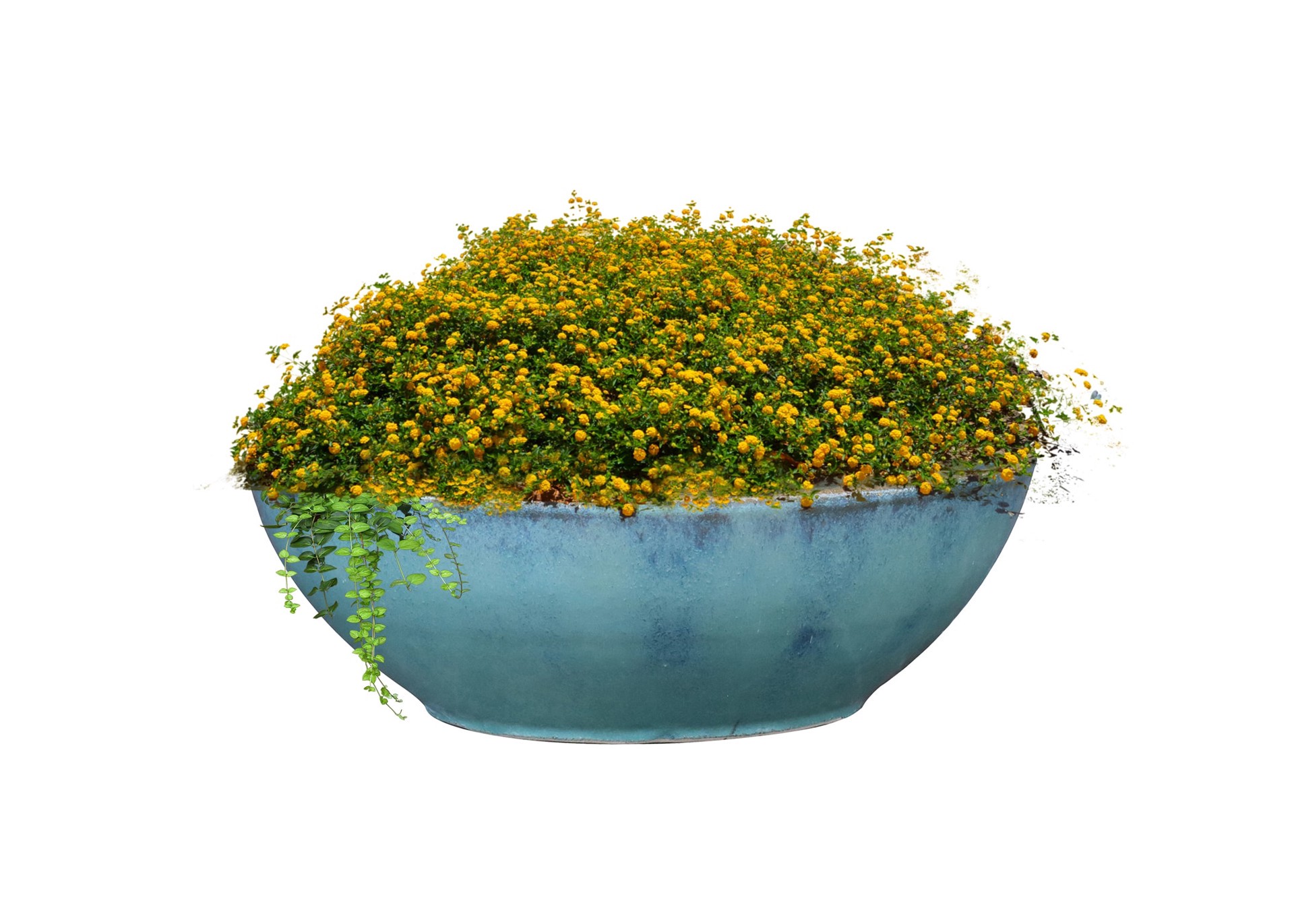 slide 2 of 3, allen + roth Round 13.0-in W x 13.0-in L Blue Glazed ceramic Indoor/Outdoor Low bowl planter, 1 ct
