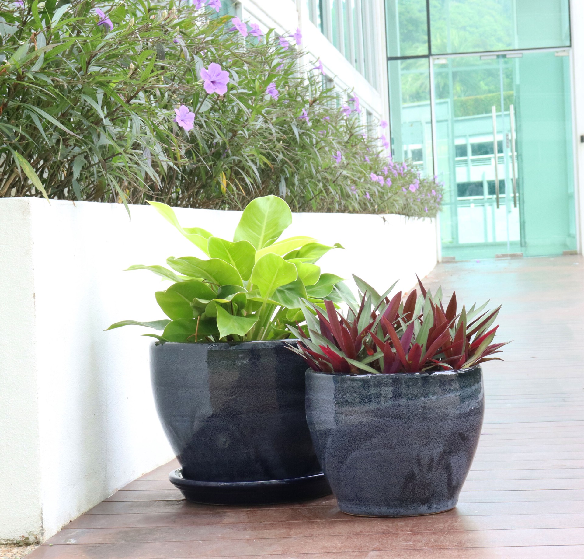 slide 3 of 4, allen + roth 8.85-in Black Glazed ceramic Plant Saucer, 1 ct