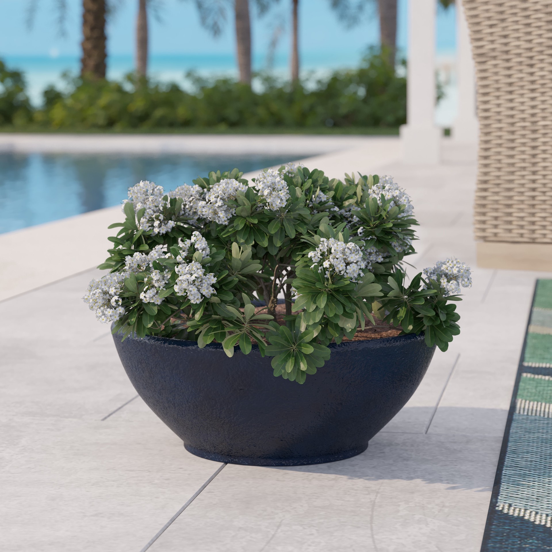 slide 2 of 5, allen + roth Round 13.0-in W x 13.0-in L Black Glazed ceramic Indoor/Outdoor Low bowl planter, 1 ct