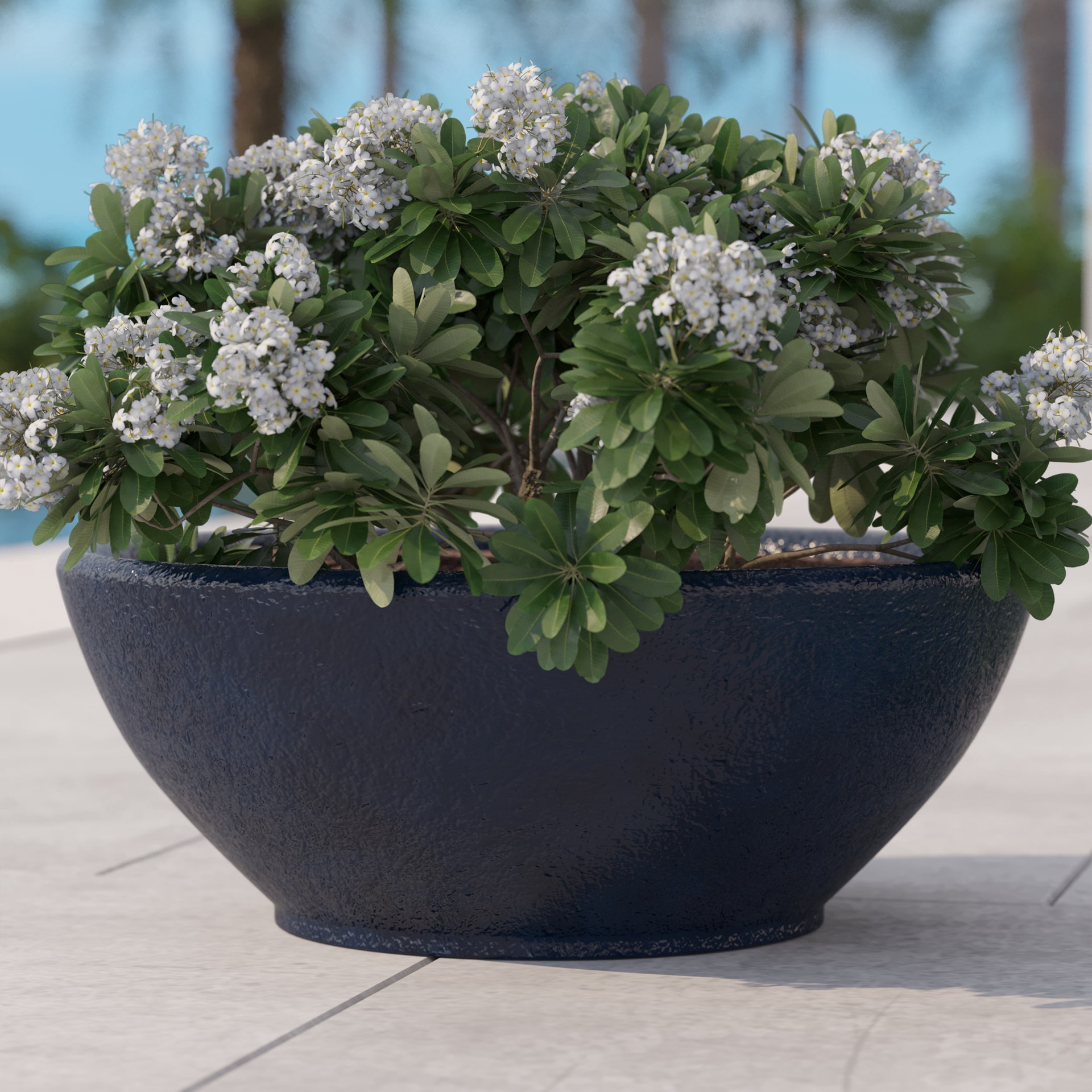 slide 3 of 5, allen + roth Round 13.0-in W x 13.0-in L Black Glazed ceramic Indoor/Outdoor Low bowl planter, 1 ct