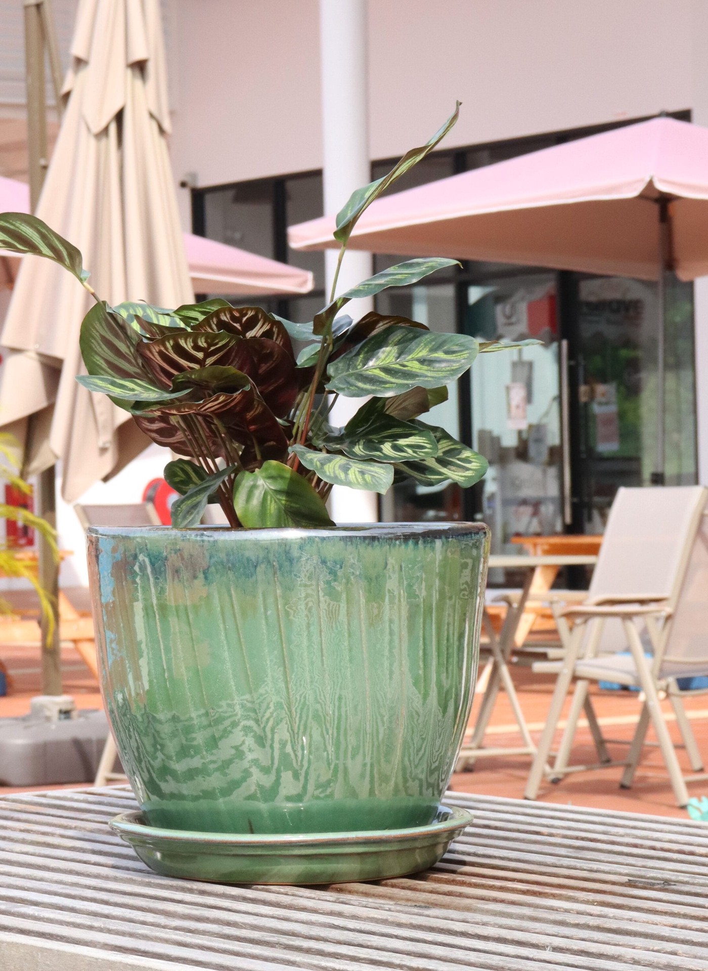 slide 3 of 4, allen + roth 8.85-in Midnight Green Glazed ceramic Plant Saucer, 1 ct