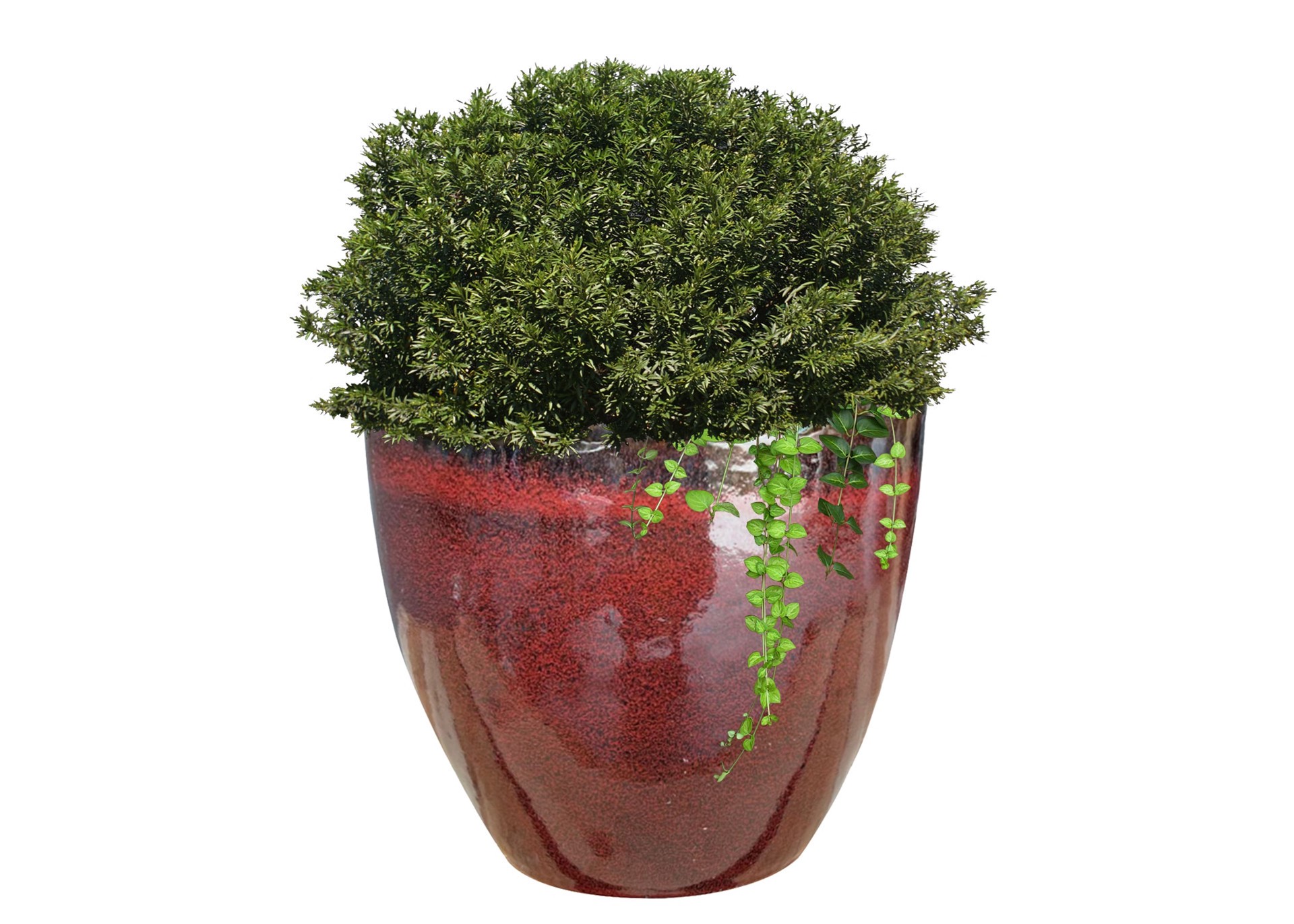 slide 3 of 4, allen + roth Round 9.05-in W x 9.05-in L Red Glazed ceramic Indoor/Outdoor Planter, 1 ct