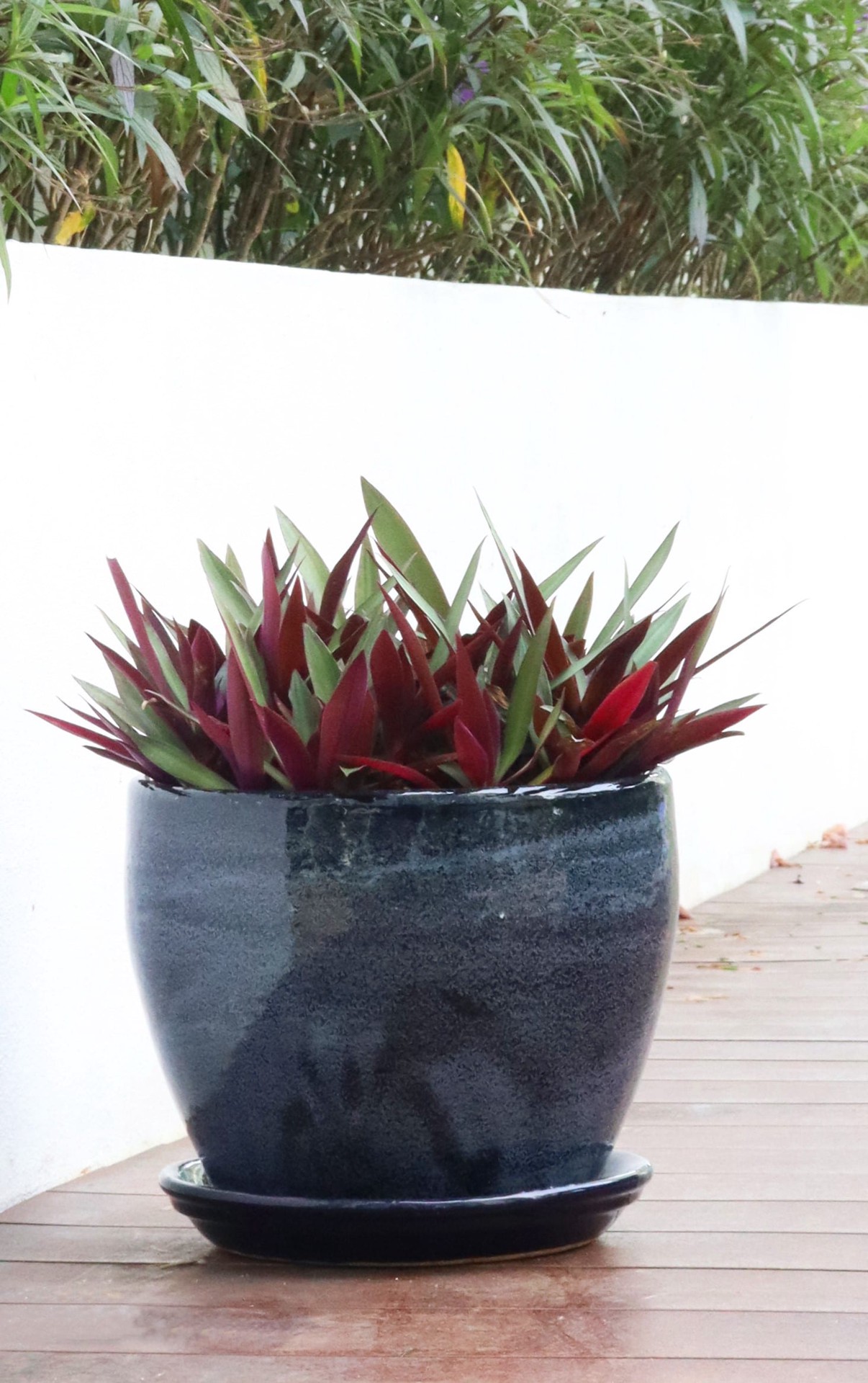 slide 3 of 4, allen + roth 8.85-in Dark Blue Glazed ceramic Plant Saucer, 1 ct