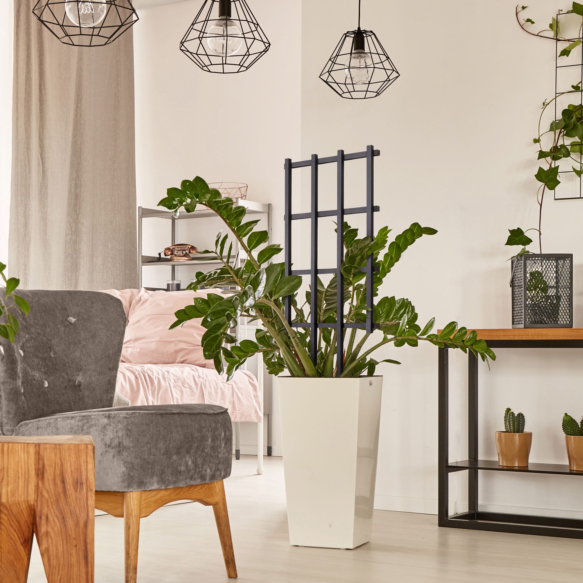 slide 5 of 6, Style Selections 15-in W x 36-in H Black wood Garden Trellis For Climbing Plants For Roses, 1 ct