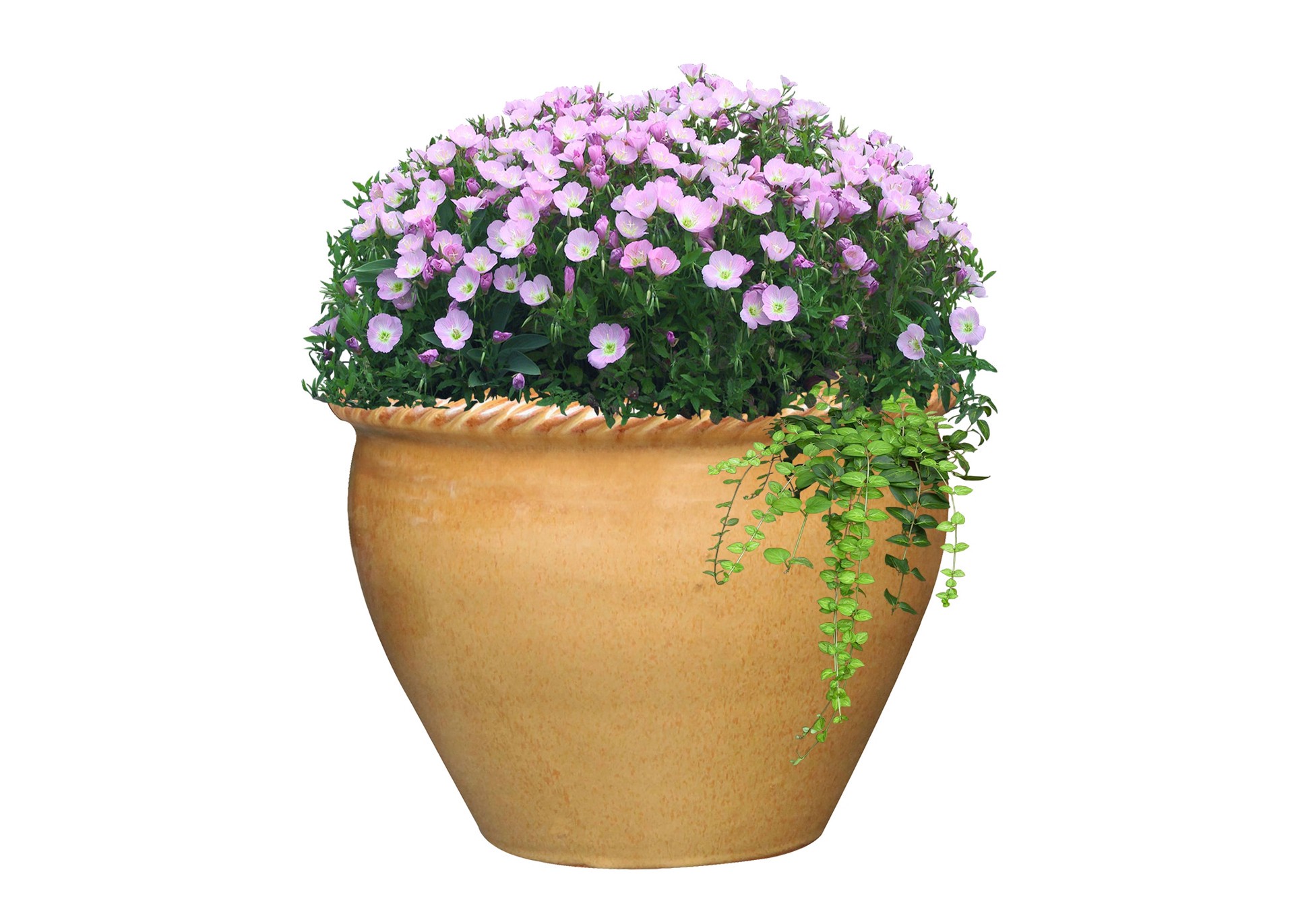 slide 3 of 4, allen + roth Round 9.6-in W x 9.6-in L Gold Glazed ceramic Indoor/Outdoor Planter, 1 ct