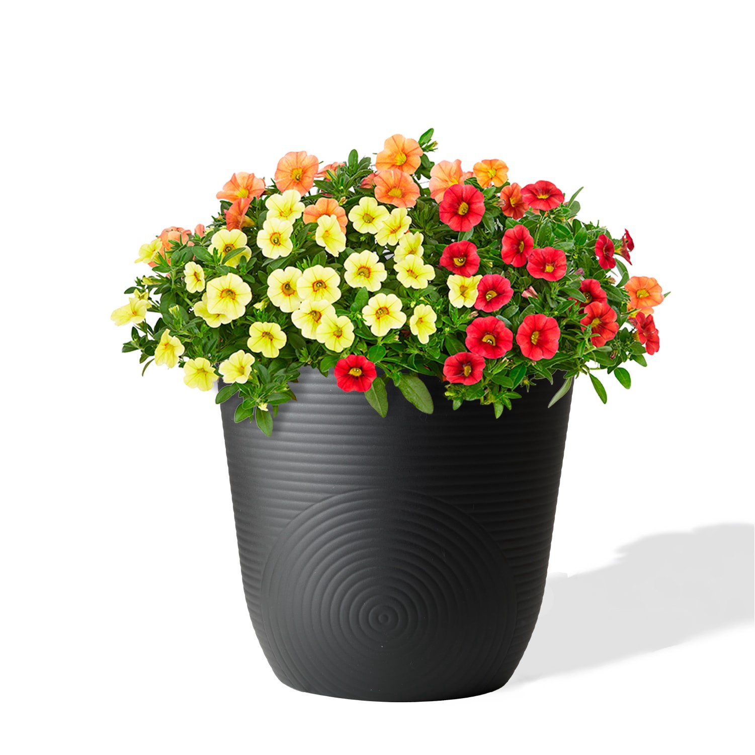 slide 2 of 6, Style Selections Round 11.0-in W Black Recycled plastic Indoor/Outdoor Planter, 1 ct