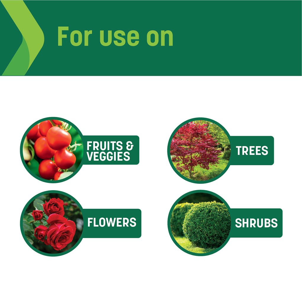 slide 5 of 6, Sta-Green 5-lb 6-2-6 Organic Natural Granules Vegetable Food, 1 ct