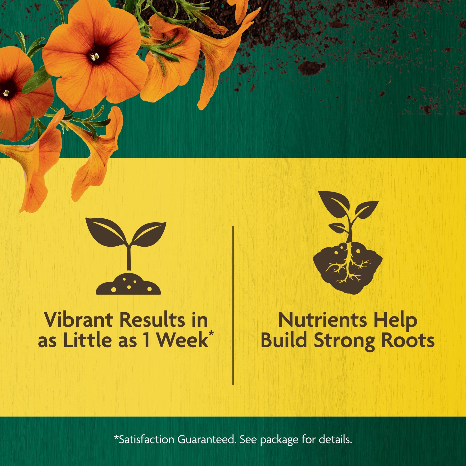 slide 5 of 6, Miracle-Gro Organic 3-lb 5-2-2 All-purpose Organic Food, 1 ct