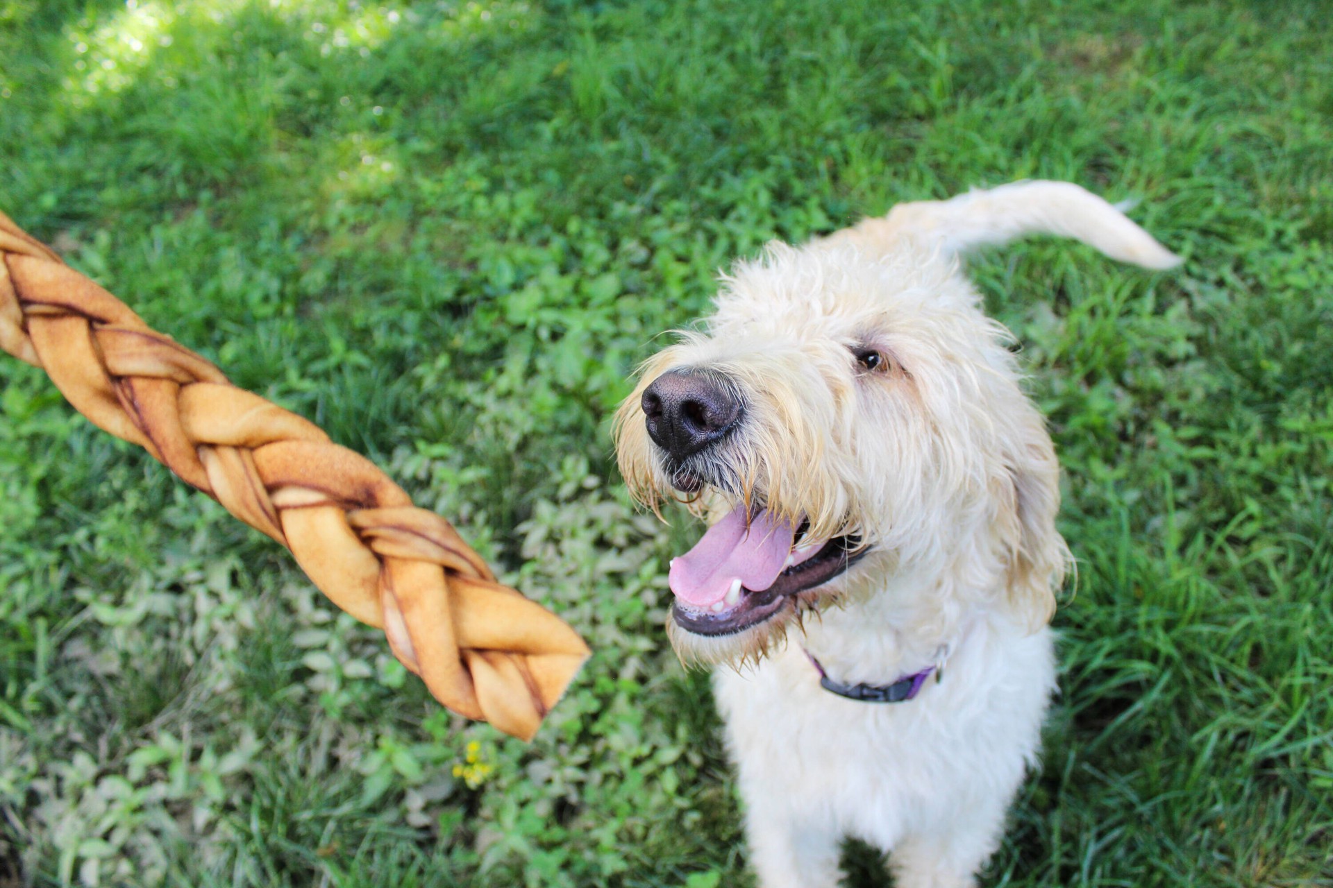 slide 5 of 5, REDBARN No-rawhide chews for Dog Beef Flavor, 1 ct