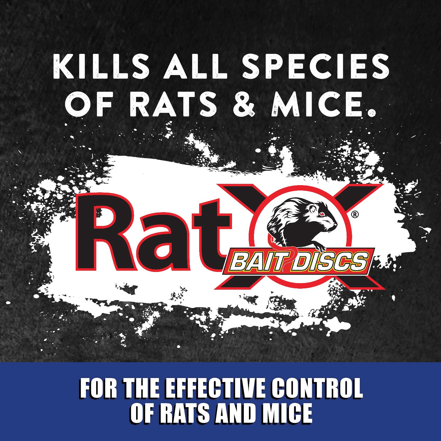 slide 4 of 6, RatX Bait Station Rat Kill, 1 ct