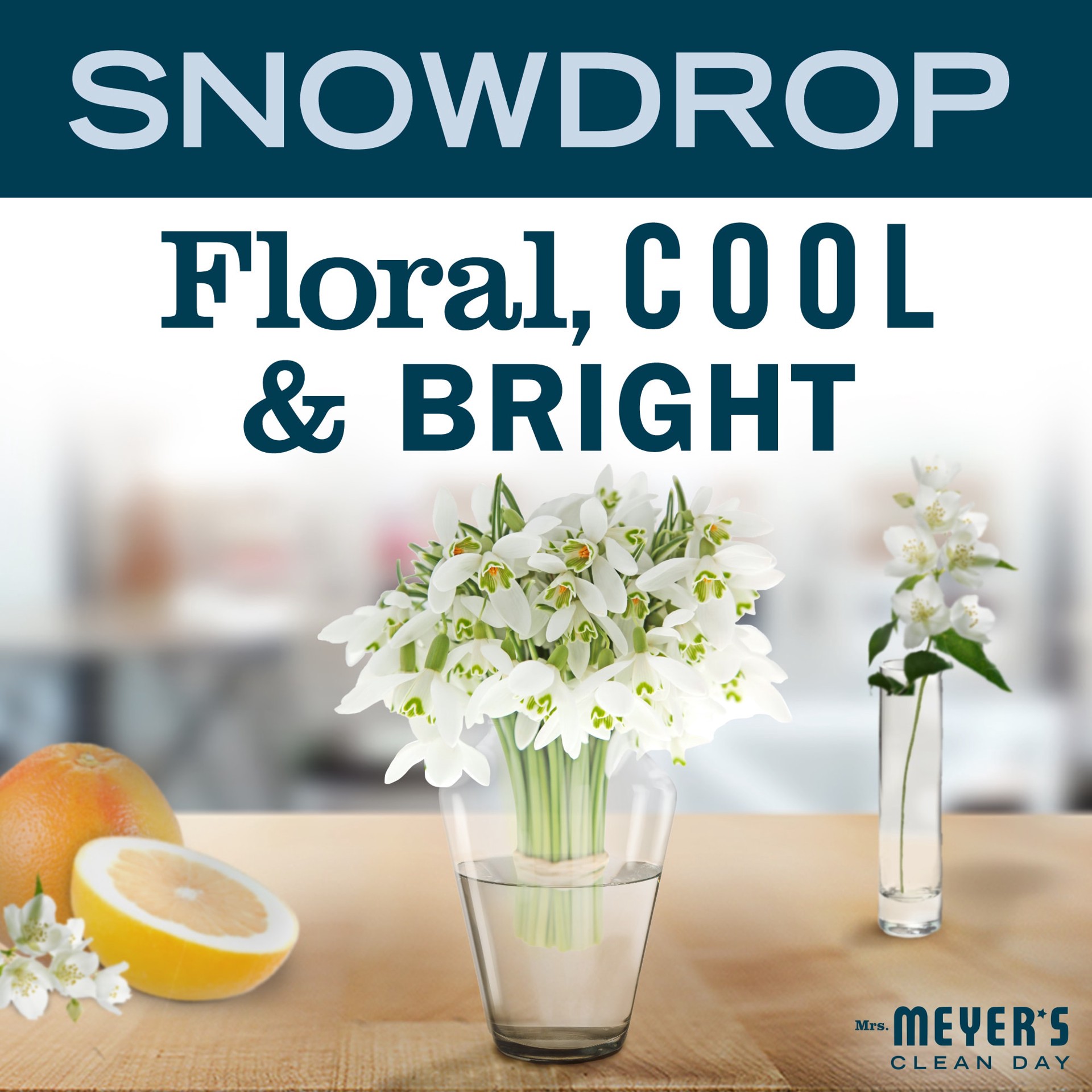 slide 3 of 6, MRS MEYERS CLEAN DAY 16-fl oz Snow Drop Dish Soap, 1 ct