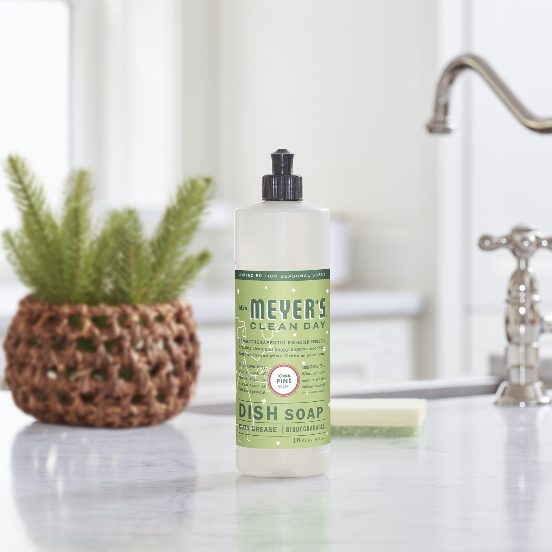 slide 2 of 6, MRS MEYERS CLEAN DAY 16-fl oz Iowa Pine Dish Soap, 1 ct