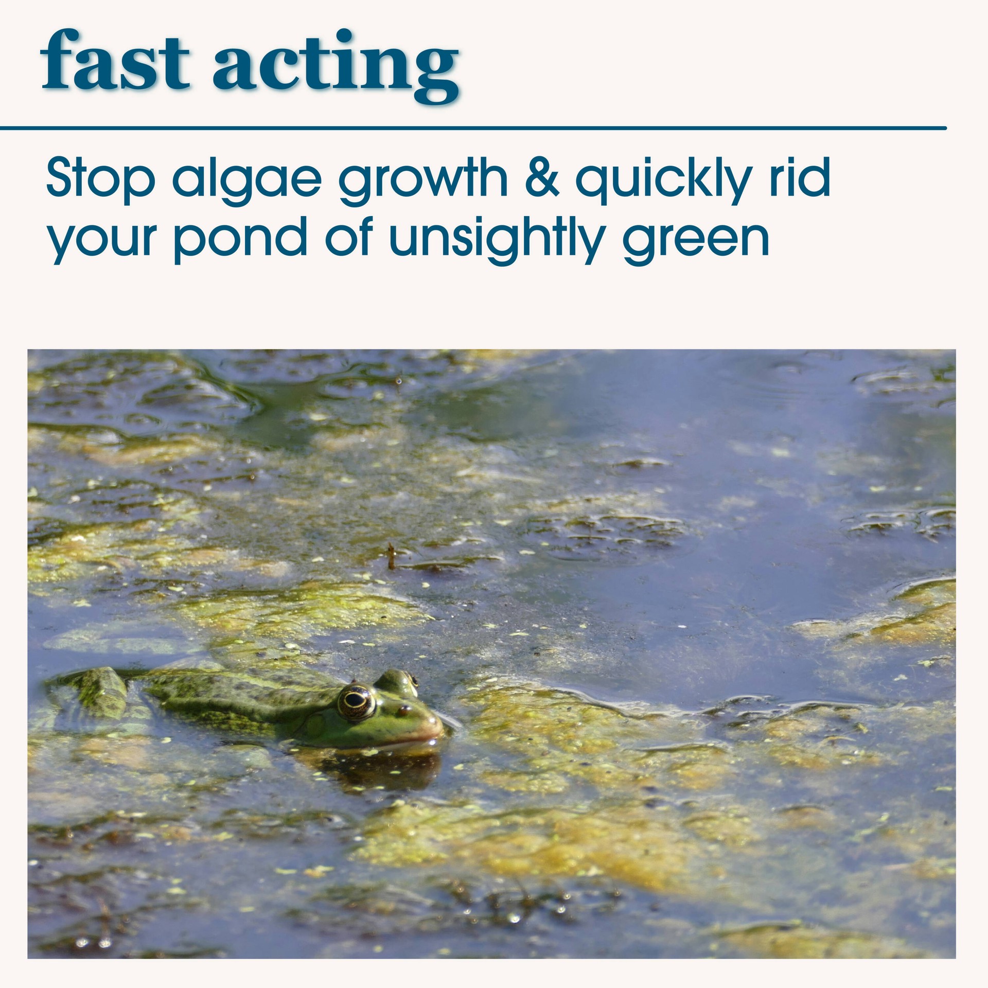 slide 6 of 6, smartpond Liquid Algaecide 32 Ounce(s), 1 ct