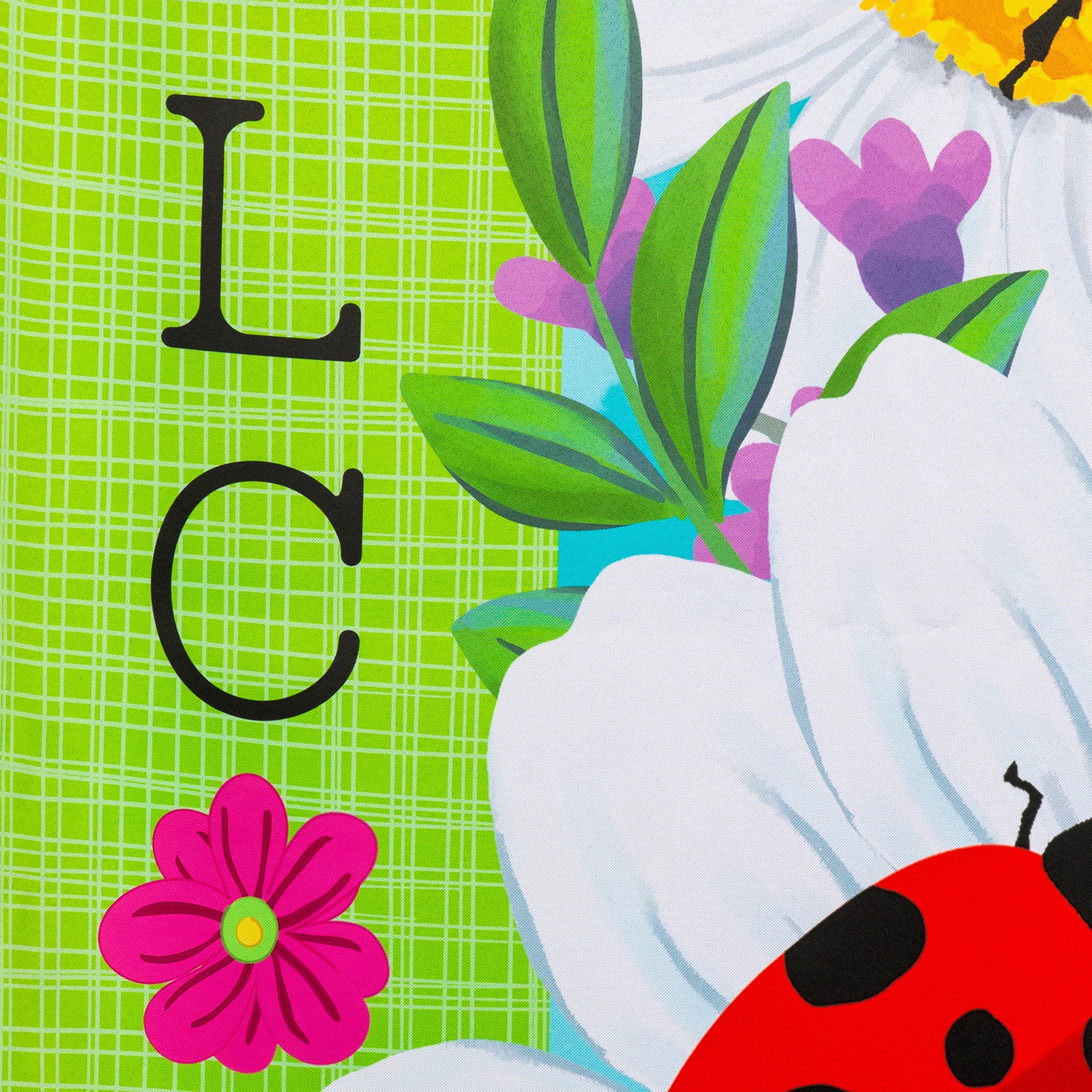 slide 6 of 6, Style Selections 2-ft W x 4-ft H Bugs House flag, 1 ct