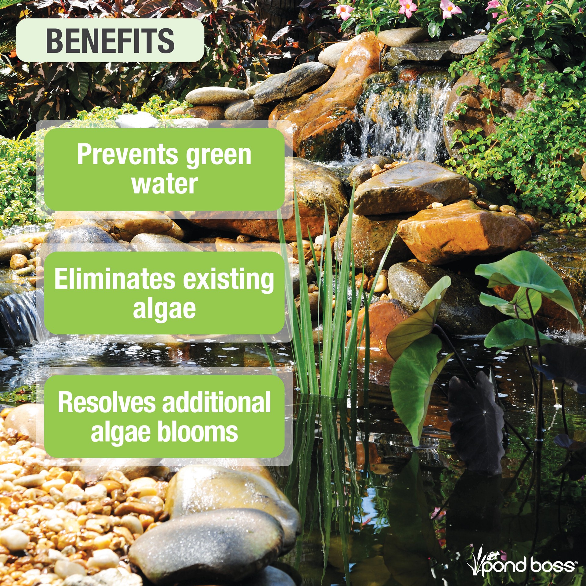 slide 3 of 6, pond boss Algaecide Pond Liquid Algaecide 64 Ounce(s), 1 ct