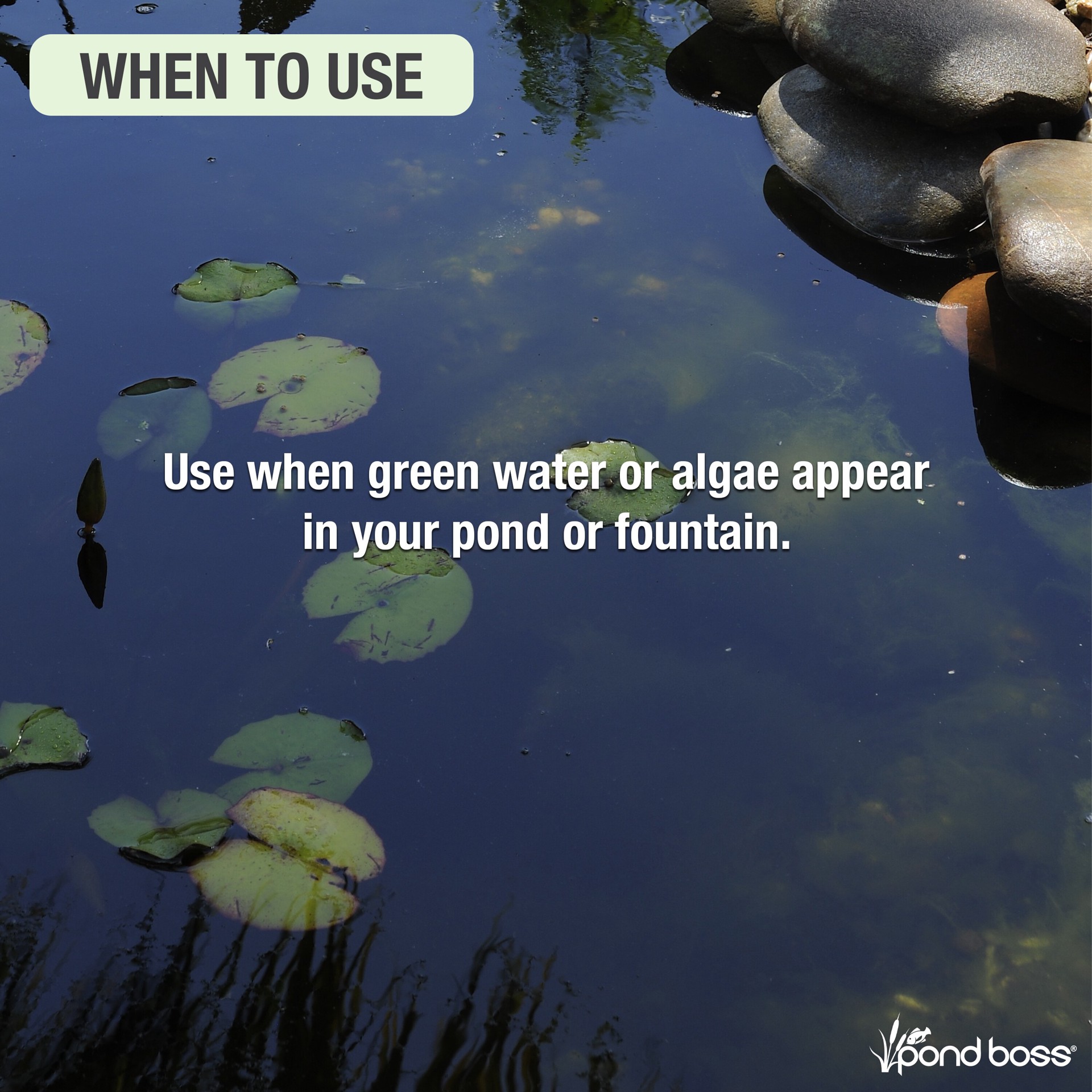 slide 5 of 6, pond boss Algaecide Pond Liquid Algaecide 64 Ounce(s), 1 ct