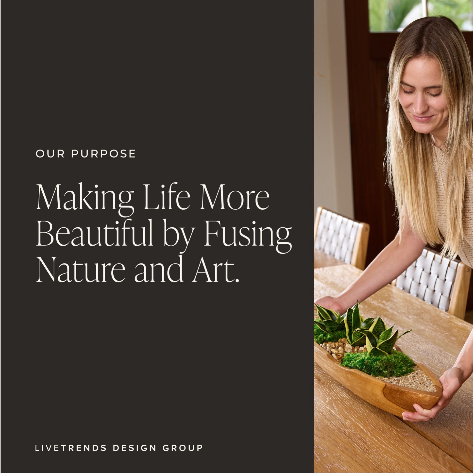 slide 4 of 5, LiveTrends Starry Skies - Assorted Succulents House plant in 2.30 Ounce(s) Pot 1 -Pack, 1 ct