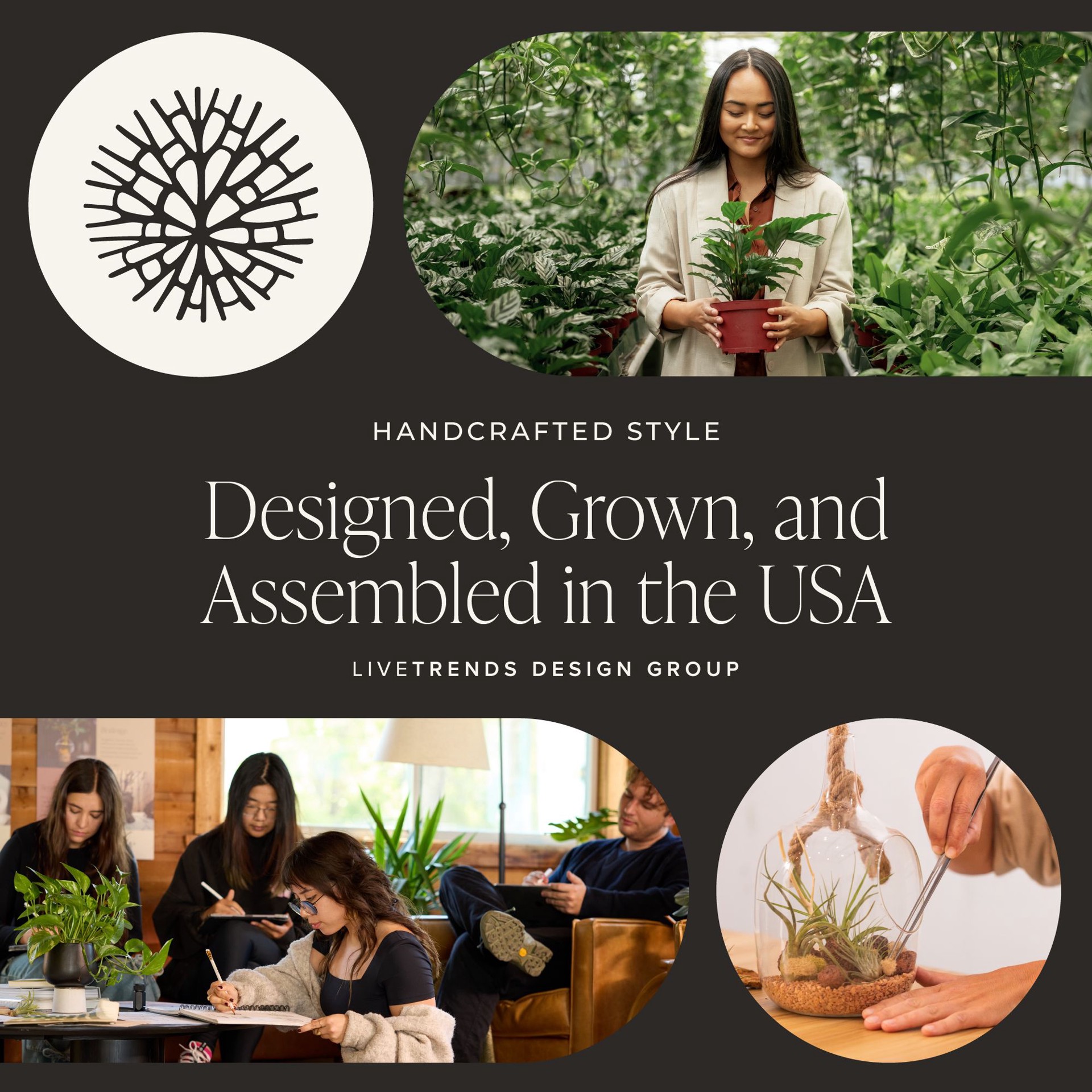 slide 5 of 5, LiveTrends Luck Of It All - Assorted Water Root Foliage House plant in 1 -Pack Terrarium 1 -Pack, 1 ct