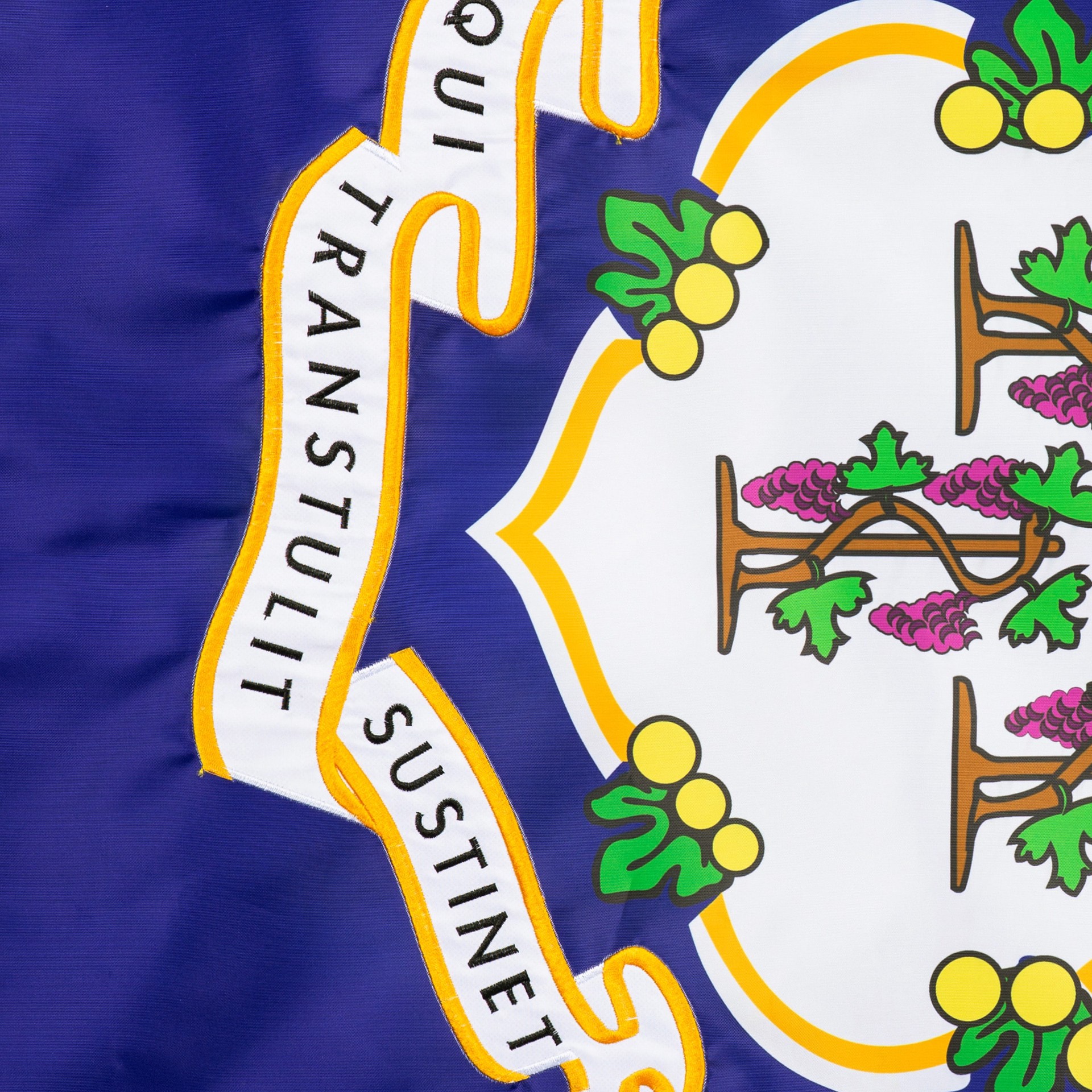 slide 5 of 6, Style Selections 2 W x 4 H Connecticut State House flag, 1 ct