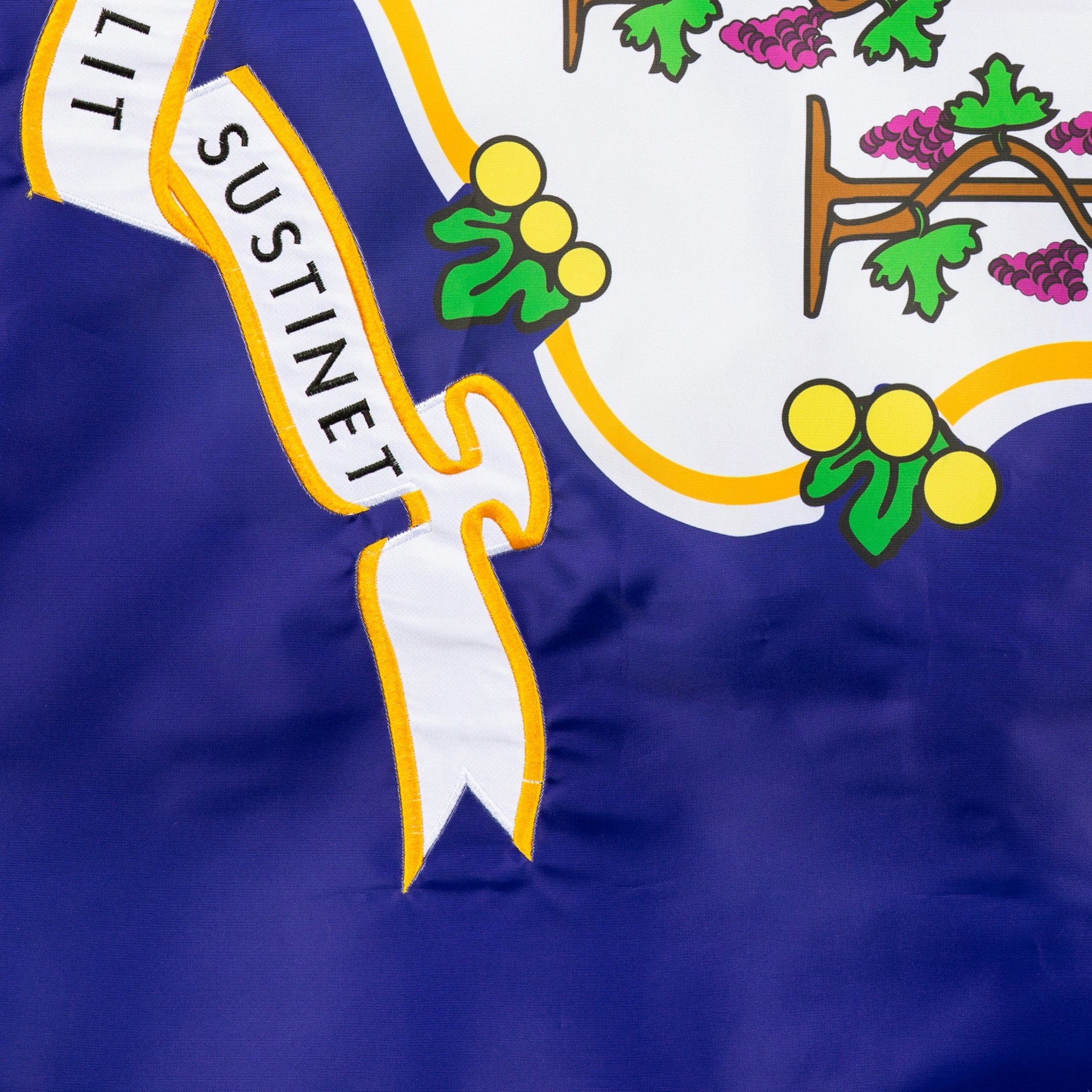 slide 6 of 6, Style Selections 2 W x 4 H Connecticut State House flag, 1 ct