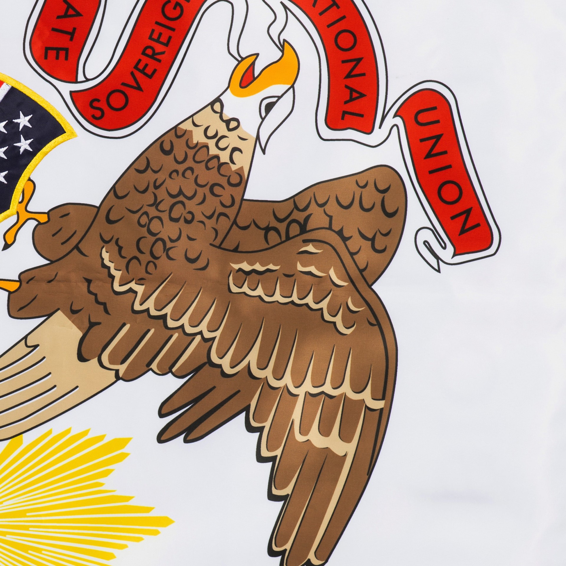 slide 6 of 6, Style Selections 2 W x 4 H State Illinois State House flag, 1 ct