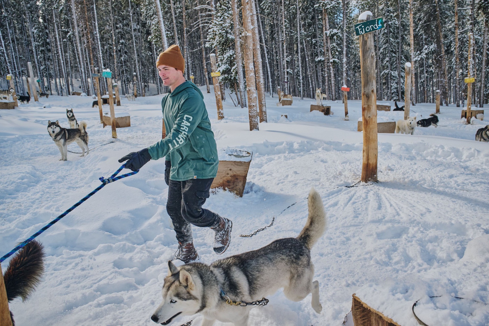 slide 2 of 4, Carhartt Men's Black Medium weight Jersey Long sleeve T-shirt ( 2XL ), 1 ct