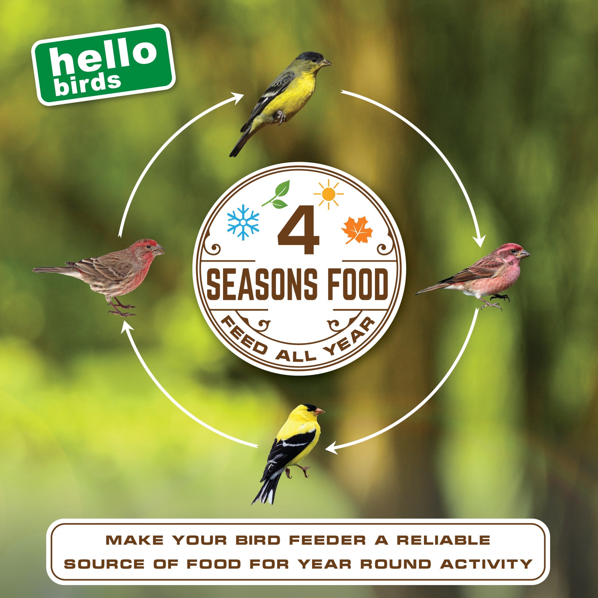 slide 4 of 5, Hello Birds Sunflower Blend Bird Seed 20-lb, 1 ct