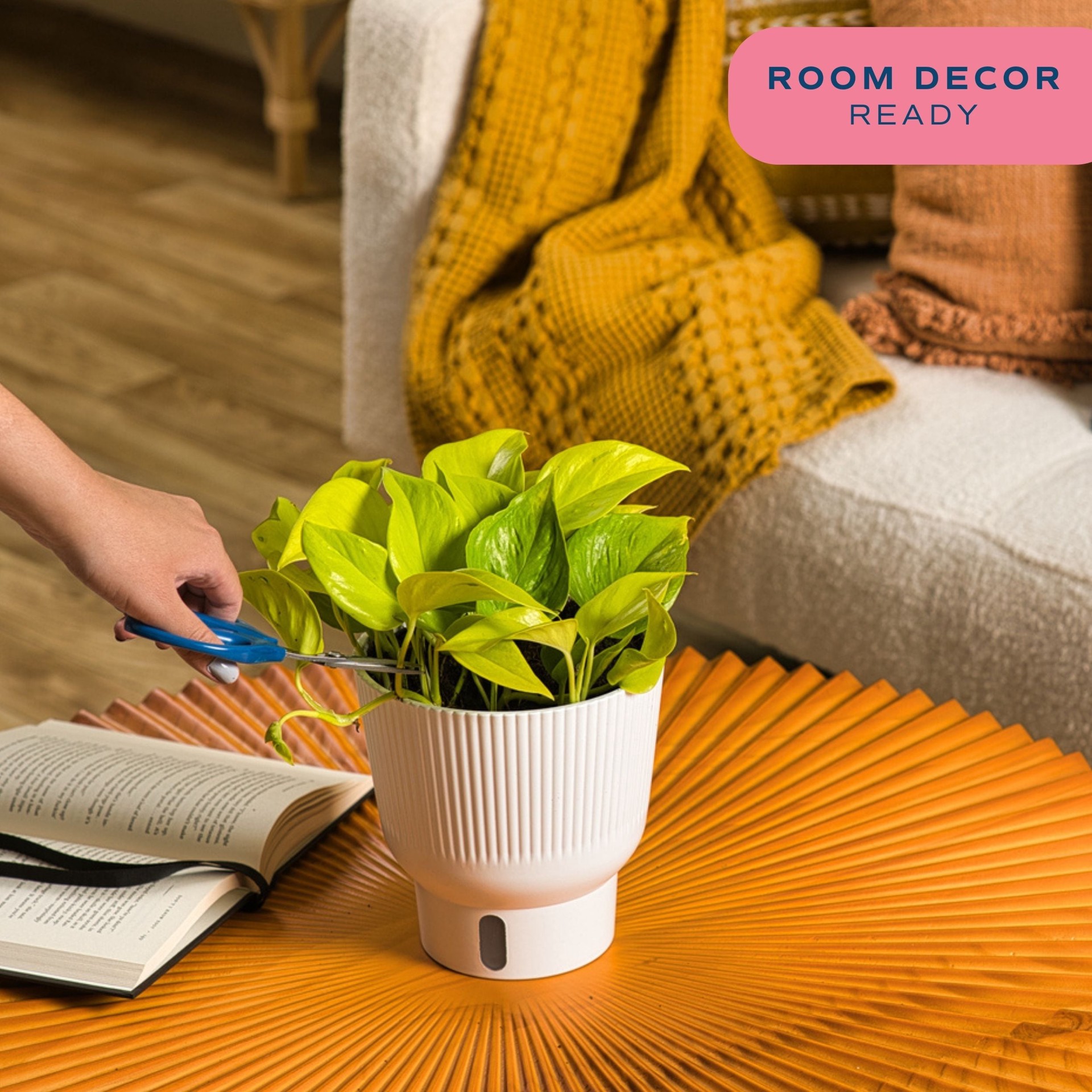 slide 4 of 6, Costa Farms Trending Tropicals Pothos House plant in 1.4 Quart(s) Self-watering pot 1 -Pack, 1 ct