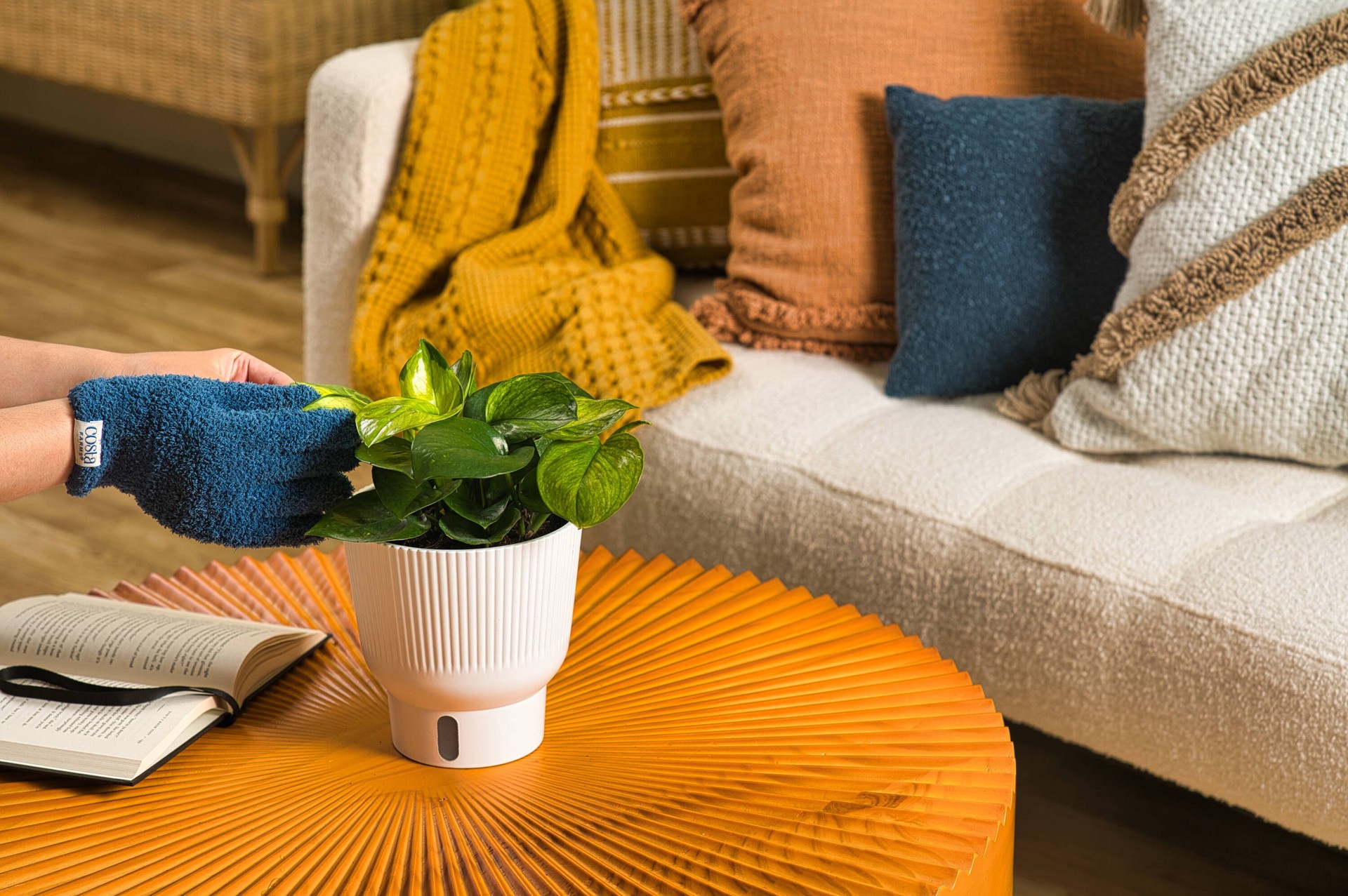 slide 6 of 6, Costa Farms Trending Tropicals Pothos House plant in 1.4 Quart(s) Self-watering pot 1 -Pack, 1 ct