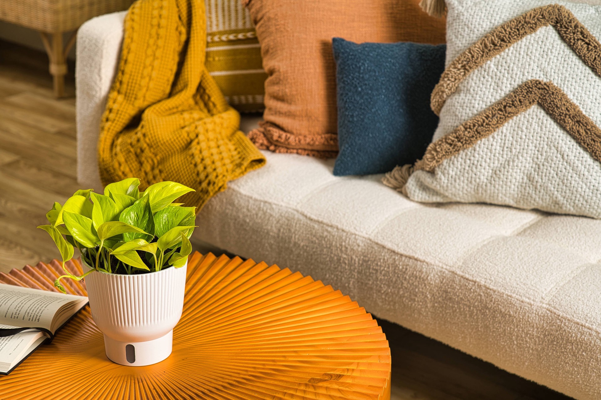 slide 4 of 6, Costa Farms Trending Tropicals Pothos House plant in 1.4 Quart(s) Self-watering pot 1 -Pack, 1 ct