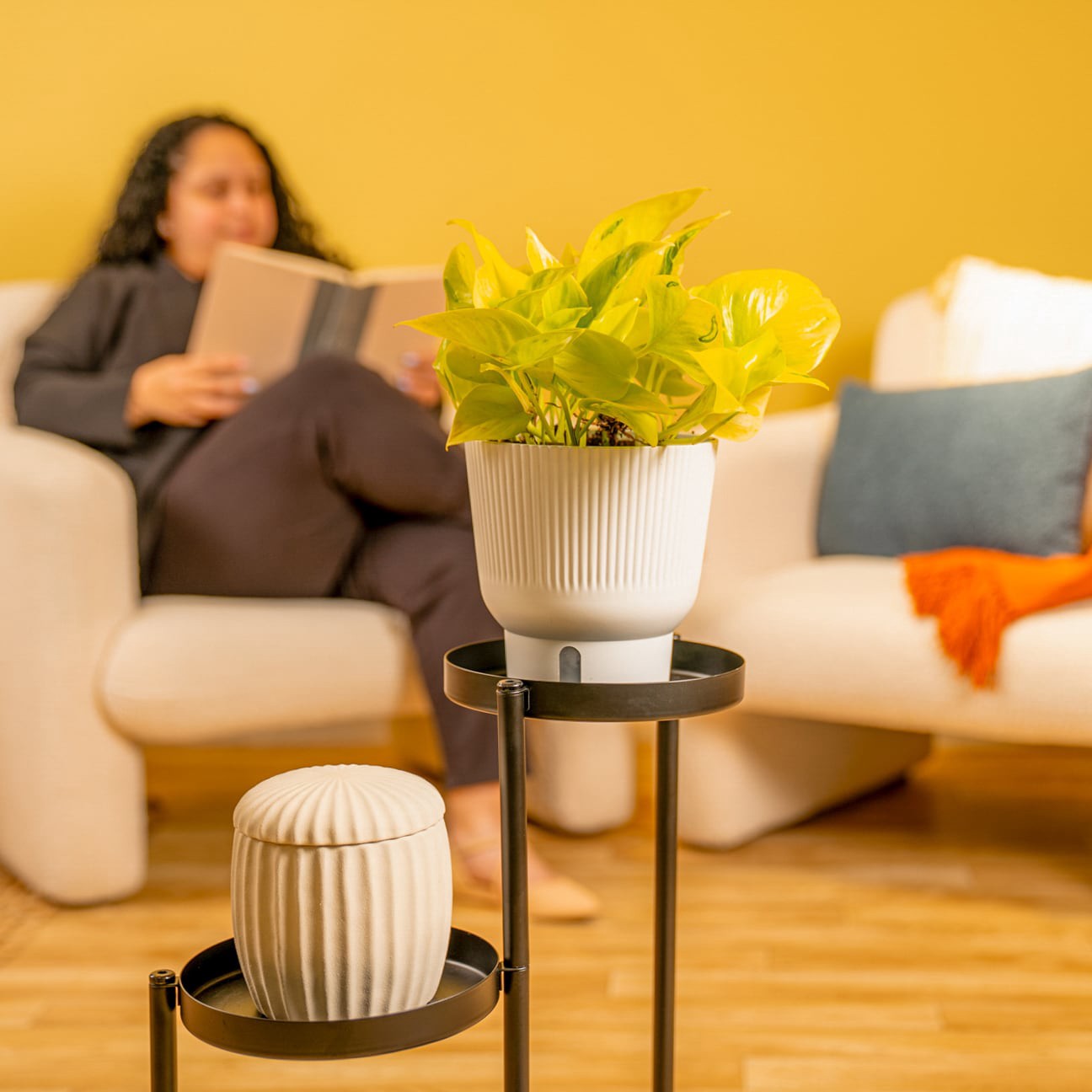 slide 6 of 6, Costa Farms Trending Tropicals Pothos House plant in 1.4 Quart(s) Self-watering pot 1 -Pack, 1 ct