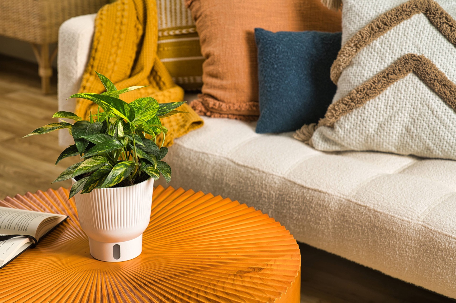 slide 3 of 6, Costa Farms Trending Tropicals Pothos House plant in 1.4 Quart(s) Self-watering pot 1 -Pack, 1 ct