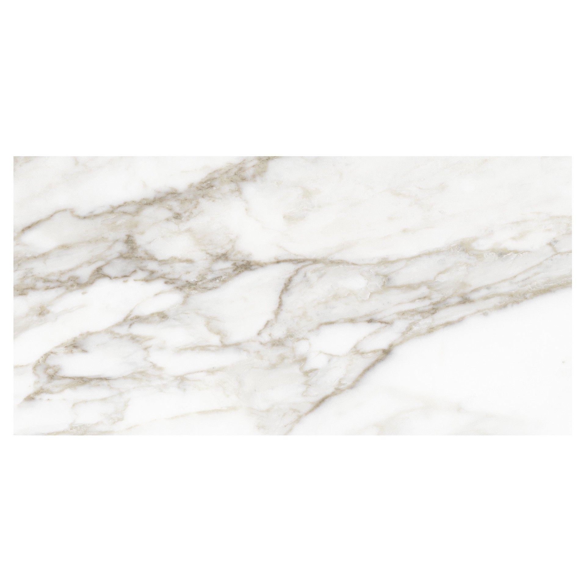 slide 3 of 6, Anatolia Calacatta Regent Calacatta 12-in x 24-in Matte Porcelain Floor and Wall Tile ( 1.93-sq ft Piece ), 1 ct