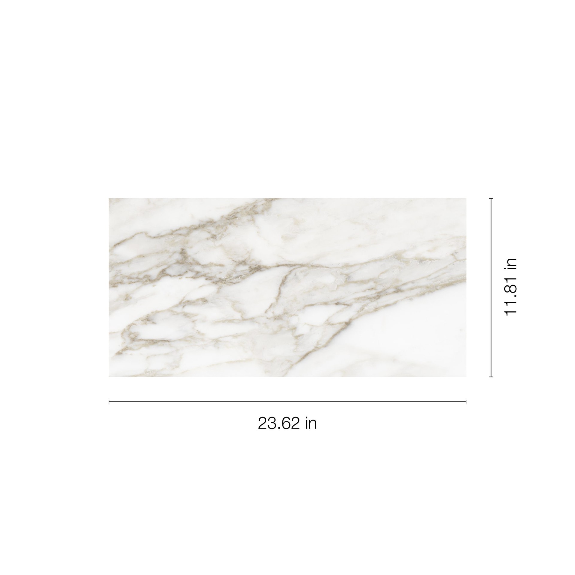 slide 6 of 6, Anatolia Calacatta Regent Calacatta 12-in x 24-in Matte Porcelain Floor and Wall Tile ( 1.93-sq ft Piece ), 1 ct