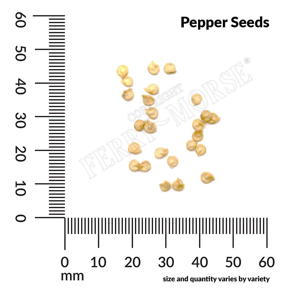 slide 4 of 6, Ferry-Morse Pepper Seeds 200 Milligram(s), 1 ct