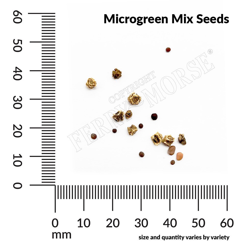 slide 4 of 6, Ferry-Morse Microgreens Seeds 4.5 Gram(s), 1 ct