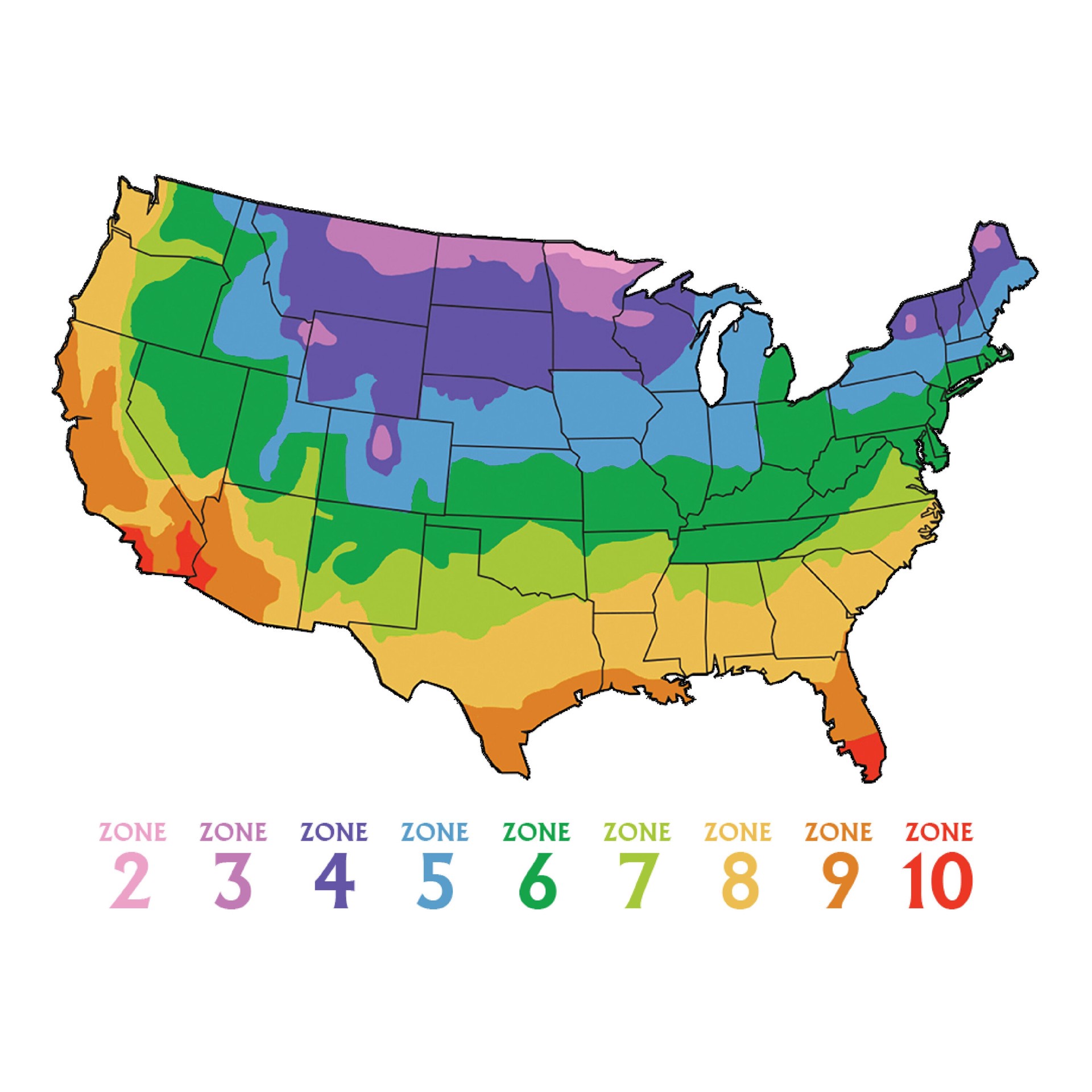 slide 5 of 6, Ferry-Morse Sunflower Seeds 5.3 Gram(s), 1 ct