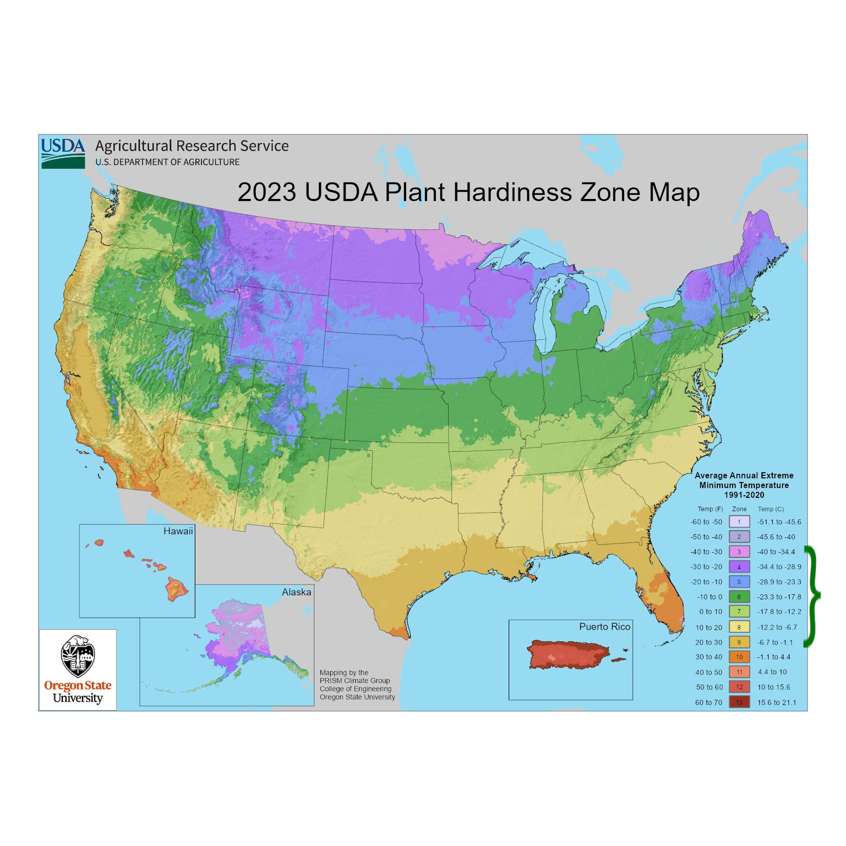 slide 4 of 4, Lowe's Purple Ajuga Plant in 1 -Pint Pot 1 -Pack, 1 ct