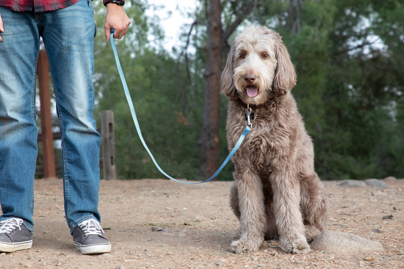 slide 4 of 6, RELIABILT N100-303- 1/2-in x 3-in Bolt Snap in Stainless Steel, 1 ct