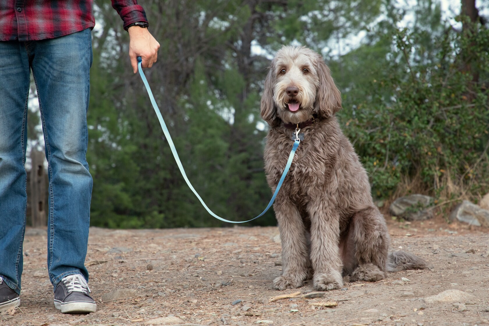 slide 4 of 6, RELIABILT N100-307- 3/8-in x 2-3/16-in Bolt Snap in Nickel, 1 ct