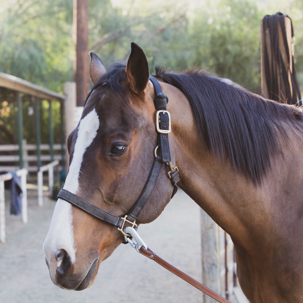 slide 4 of 6, RELIABILT 5/8-in x 3-1/2-in Hook in Zinc Plated, 1 ct