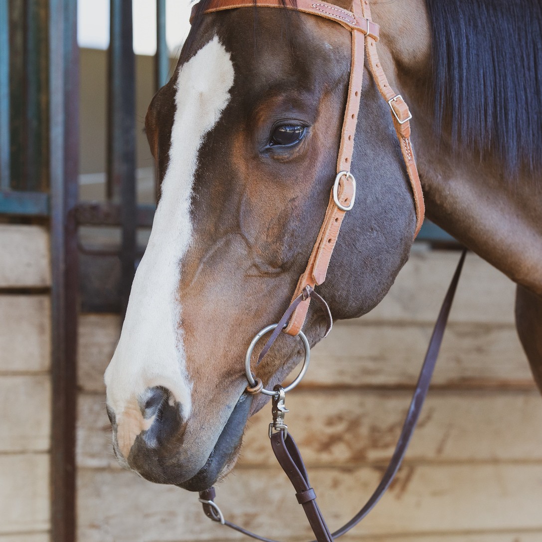 slide 4 of 6, RELIABILT N100-267- 1/2-in x 2-5/8-in Trigger Snap in Nickel, 1 ct