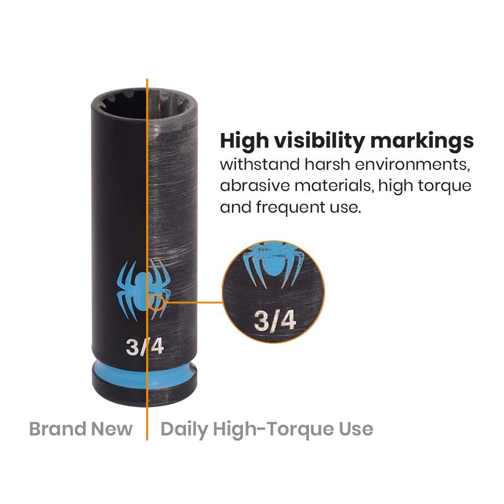 slide 6 of 6, Spyder 11 -Piece Standard (SAE) 1/4-in Drive Set 6-point/12-point/Spline/Star/Square Impact Socket Set, 1 ct