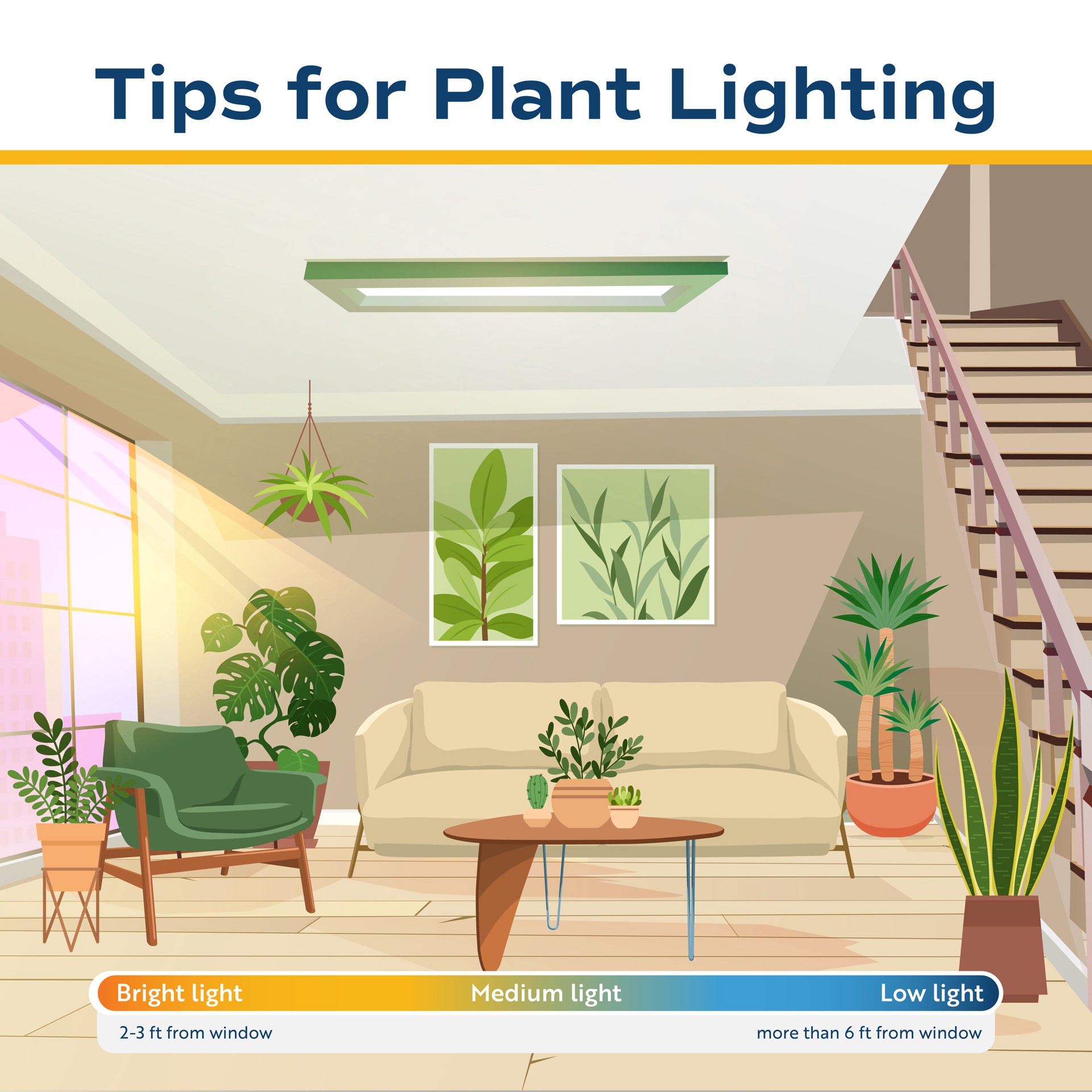 slide 3 of 5, Costa Farms Trending Tropicals Pothos House plant in 1.4 Quart(s) Self-watering pot 1 -Pack, 1 ct
