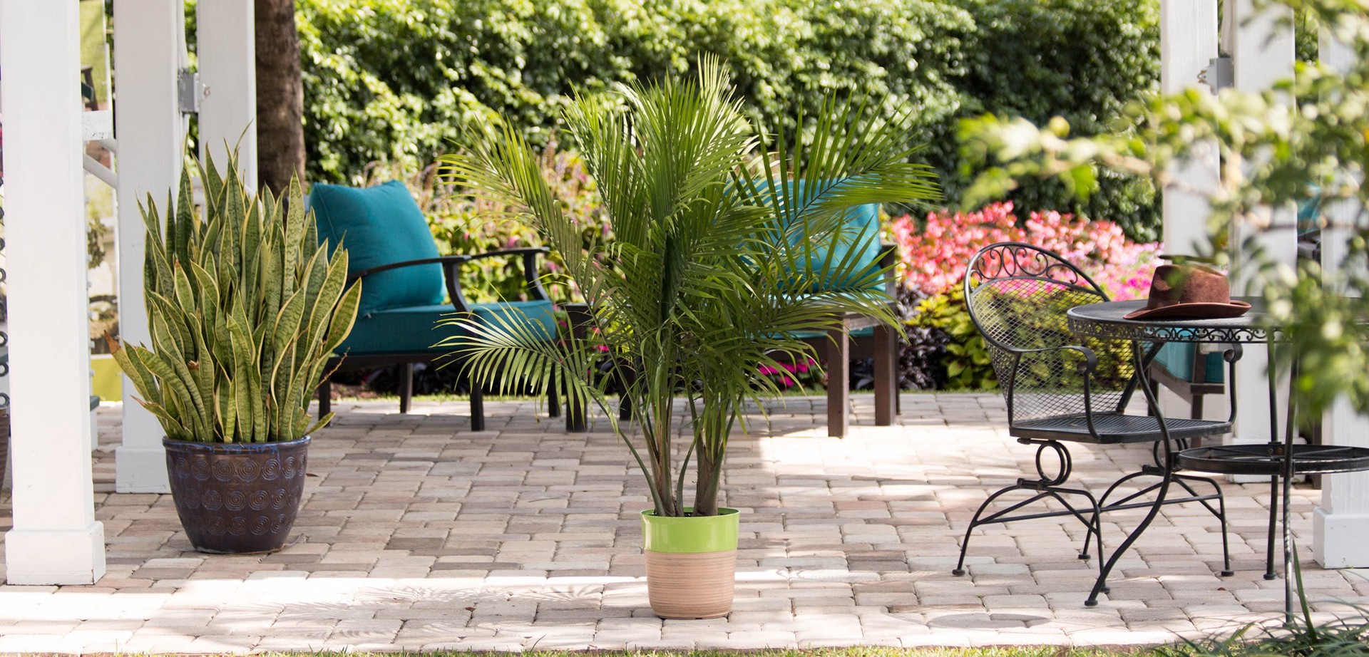 slide 4 of 6, Lowe's Majesty Palm House plant in 1.94 Gallon(s) Pot 1 -Pack, 1 ct