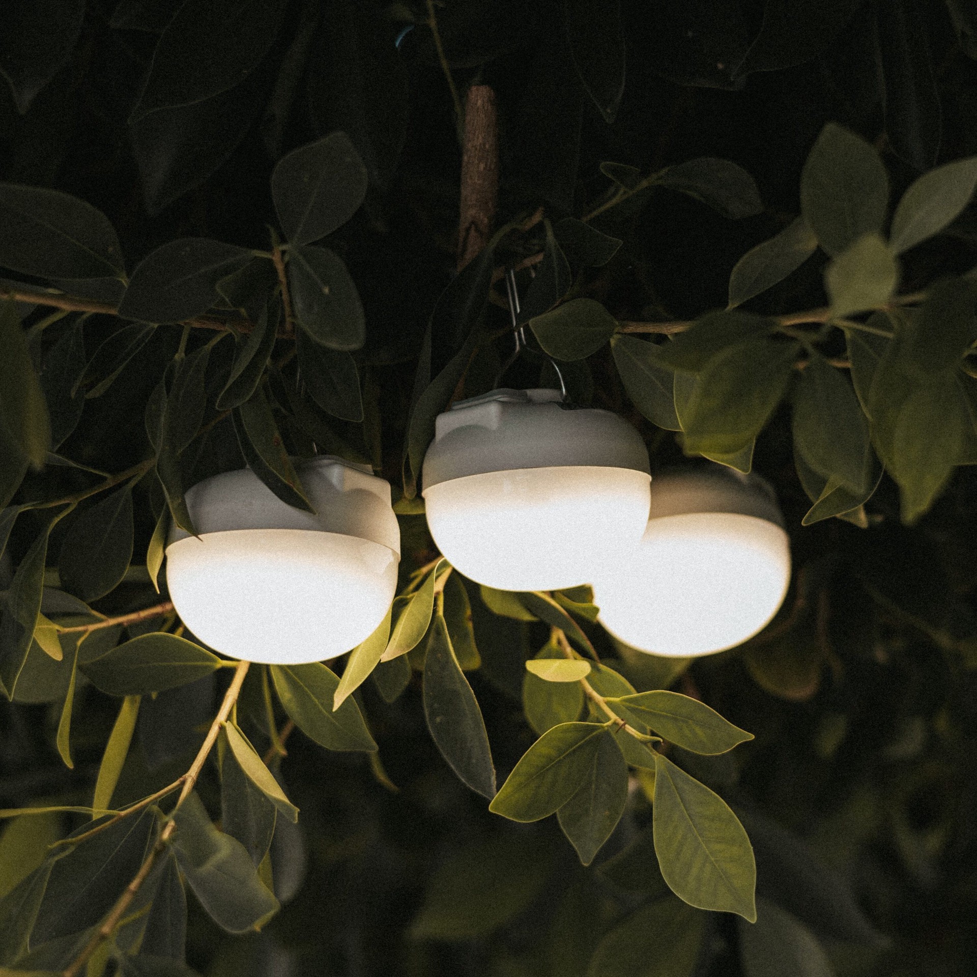 slide 4 of 6, Newgarden 2.4-in H White Battery-operated Integrated LED Outdoor Wall Light, 1 ct