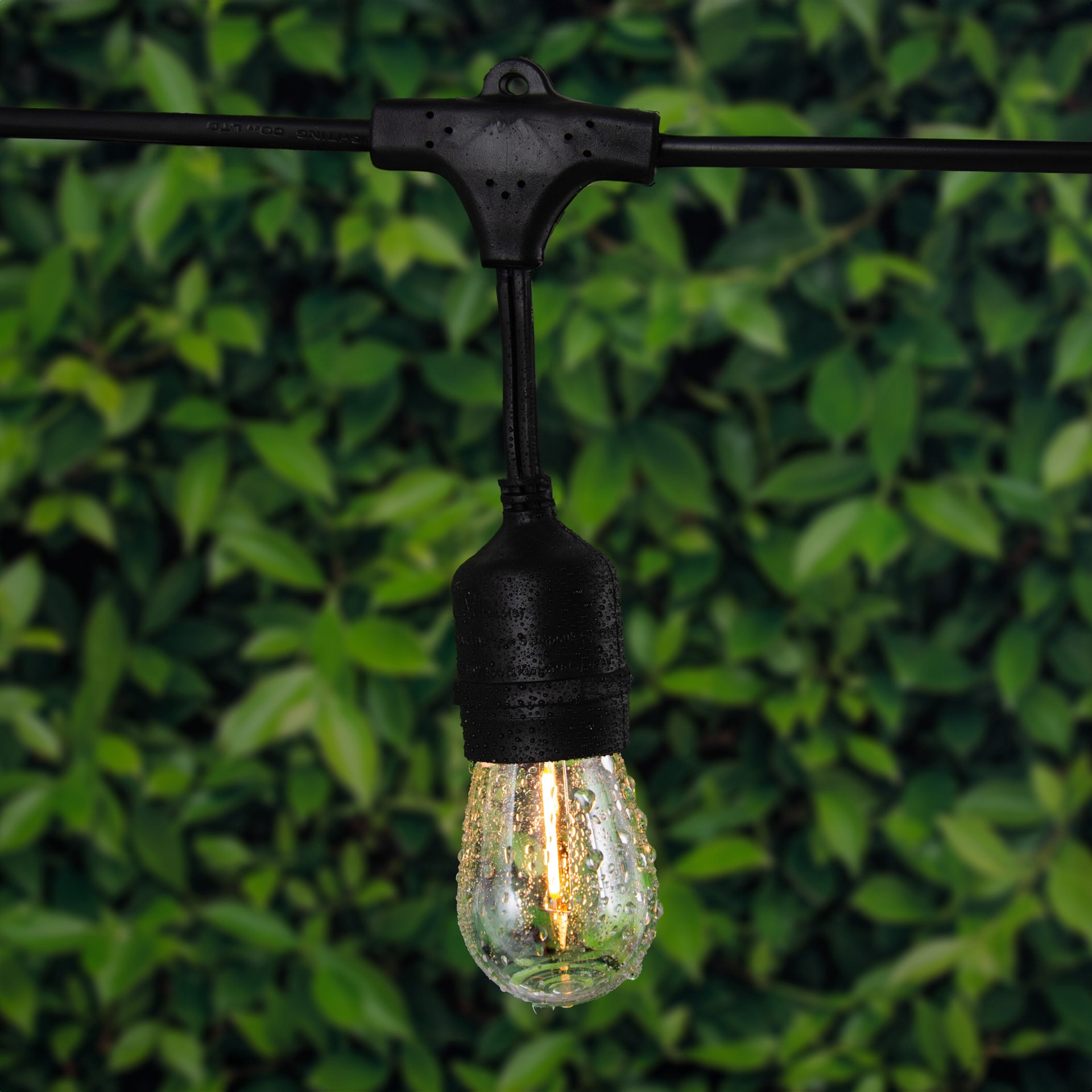 slide 2 of 6, Harbor Breeze 48-ft Plug-in Black Indoor/Outdoor String Light with 24 White -Light LED Edison Bulbs, 1 ct