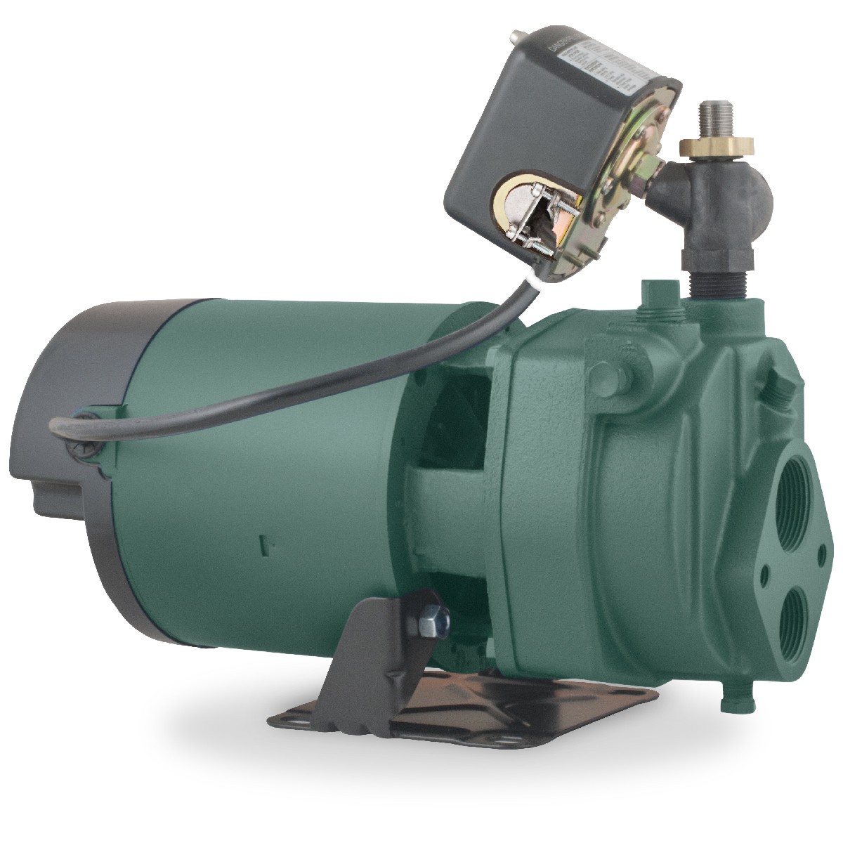 slide 1 of 6, Zoeller 1-HP 115 and 230 -Volt 16-Gallon Cast iron Deep well jet pump, 1 ct